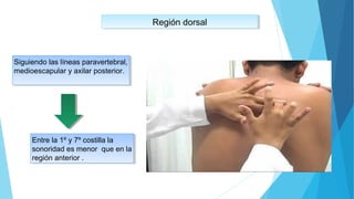 Región dorsalRegión dorsal
Siguiendo las líneas paravertebral,
medioescapular y axilar posterior.
Siguiendo las líneas paravertebral,
medioescapular y axilar posterior.
Entre la 1º y 7º costilla la
sonoridad es menor que en la
región anterior .
Entre la 1º y 7º costilla la
sonoridad es menor que en la
región anterior .
 
