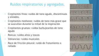 Ruidos respiratorios y agregados.
• Crepitantes finos: ruidos de tono agudo, discontinuos
y aislados.
• Crepitantes medianos: ruidos de tono más grave que
se auscultan durante la mitad de la inspiración
• Crepitantes gruesos: ruidos burbujeantes de tono
agudo
• Roncus: ruidos altos y toscos
• Sibilancias: ruidos musicales
• Roce de fricción pleural: ruido de frotamiento o
rallado
 