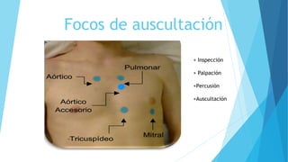 Focos de auscultación
+ Inspección
+ Palpación
+Percusión
+Auscultación
 
