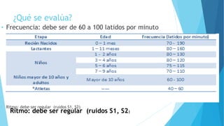 ¿Qué se evalúa?
• Frecuencia: debe ser de 60 a 100 latidos por minuto
• Ritmo: debe ser regular (ruidos S1, S2)
Ritmo: debe ser regular (ruidos S1, S2)
 
