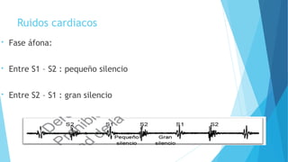 Ruidos cardiacos
• Fase áfona:
• Entre S1 – S2 : pequeño silencio
• Entre S2 – S1 : gran silencio
 