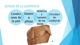 ESTADO DE LA SUPERFICIE
Condici
ones de
la piel
Sistem
a
piloso
Simetría
y
tamaño
de los
senos   
Circulaci
ón
colateral
 