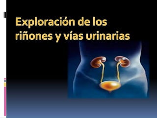 Exploracion urogenital