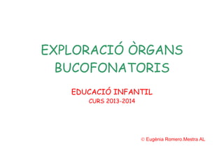 EXPLORACIÓ ÒRGANS
BUCOFONATORIS
EDUCACIÓ INFANTIL
CURS 2013-2014

© Eugènia Romero.Mestra AL

 