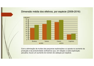 Dimensão média dos efetivos, por espécie (2009-2016)
Com a eliminação de muitas das pequenas explorações e a aposta no aumento da
produção e da produtividade verificámos que, em relação a cada exploração
pecuária, houve um aumento do número de cabeças por espécie.
 