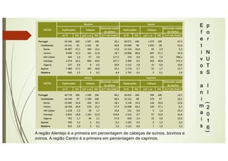 E
f
e
t
i
v
o
s
a
n
i
m
a
i
s
p
o
r
N
U
T
S
I
I
(
2
0
1
6
)
A região Alentejo é a primeira em percentagem de cabeças de suínos, bovinos e
ovinos. A região Centro é a primeira em percentagem de caprinos.
 