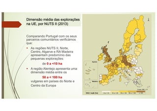 Dimensão média das explorações
na UE, por NUTS II (2013)
Comparando Portugal com os seus
parceiros comunitários verificámos
que:
§ As regiões NUTS II, Norte,
Centro, Algarve e RA Madeira
apresentam predomínio das
pequenas explorações:
de 0 a <10 ha
§ A região Alentejo apresenta uma
dimensão média entre os
50 a < 100 ha
vulgares em países do Norte e
Centro da Europa
 