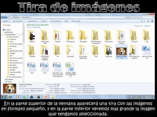 En la parte superior de la ventana aparecerá una tira con las imágenes
en formato pequeño, y en la parte inferior veremos mas grande la imagen
que tengamos seleccionada.
 