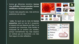 z
 Iconos en diferentes tamaños: Iconos
muy grandes, Iconos grandes, Iconos
medianos e Iconos pequeños.
 Cuanto más pequeño sea, más archivos
podremos ver a la vez.
 Lista. Es igual que la vista de Iconos
pequeños, pero en vez de ir ocupando
el espacio de que dispone por filas, lo va
ocupando por columnas. Esto facilita la
búsqueda de un archivo por nombre,
porque normalmente hay más espacio
en vertical que en horizontal y es más
fácil seguir el orden alfabético.
 