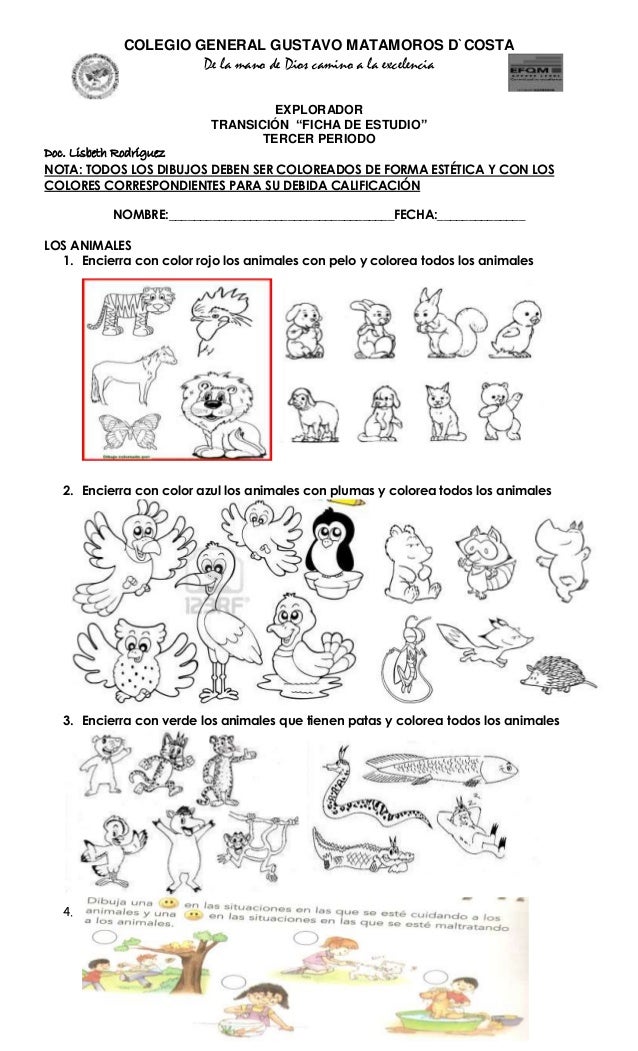 Dibujos De Animales Con Pelo Para Colorear - Para Colorear