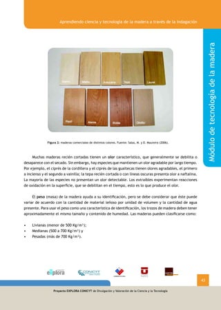 Proyecto EXPLORA CONICYT de Divulgación y Valoración de la Ciencia y la Tecnología
Módulodetecnologíadelamadera
Aprendiendo ciencia y tecnología de la madera a través de la indagación
43
Proyecto EXPLORA CONICYT de Divulgación y Valoración de la Ciencia y la Tecnología
Figura 2: maderas comerciales de distintos colores. Fuente: Salas, M. y D. Maureira (2006).
	
	 Muchas maderas recién cortadas tienen un olor característico, que generalmente se debilita o
desaparece con el secado. Sin embargo, hay especies que mantienen un olor agradable por largo tiempo.
Por ejemplo, el ciprés de la cordillera y el ciprés de las guaitecas tienen olores agradables, el primero
a incienso y el segundo a vainilla; la tepa recién cortada o con líneas oscuras presenta olor a naftalina.
La mayoría de las especies no presentan un olor detectable. Los extraíbles experimentan reacciones
de oxidación en la superficie, que se debilitan en el tiempo, esto es lo que produce el olor.
	 El peso (masa) de la madera ayuda a su identificación, pero se debe considerar que éste puede
variar de acuerdo con la cantidad de material leñoso por unidad de volumen y la cantidad de agua
presente. Para usar el peso como una característica de identificación, los trozos de madera deben tener
aproximadamente el mismo tamaño y contenido de humedad. Las maderas pueden clasificarse como:
•	 Livianas (menor de 500 Kg/m³);
•	 Medianas (500 a 700 Kg/m³) y
•	 Pesadas (más de 700 Kg/m³).
 