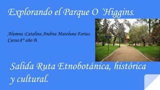 Explorando el Parque O ´Higgins.
Salida Ruta Etnobotánica, histórica
y cultural.
Alumna :Catalina Andrea Mateluna Farías.
Curso:8° año B.
 