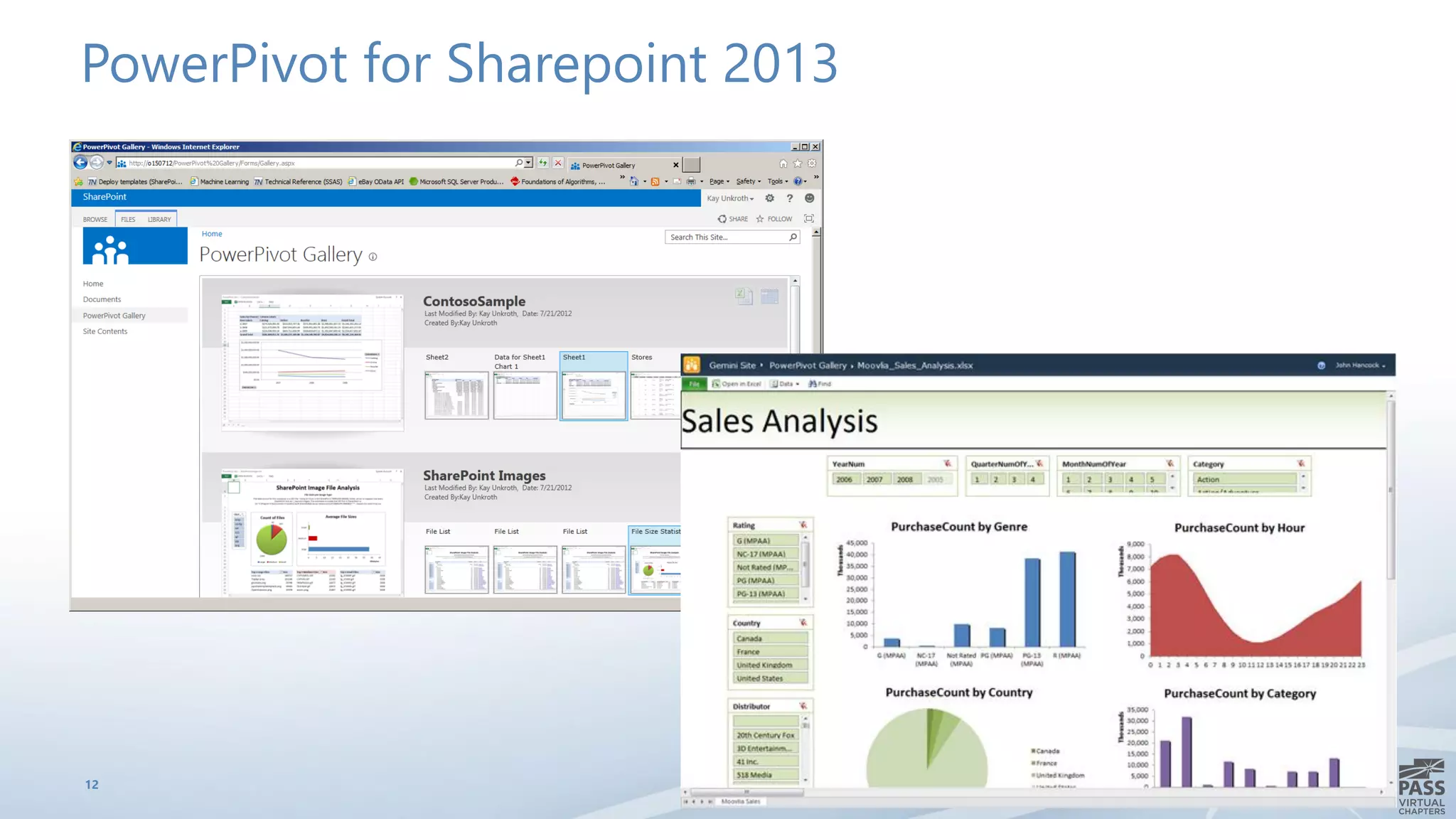 PowerPivot for Sharepoint 2013
12
 
