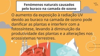 Fenómenos naturais causados
pelo buraco na camada de ozono
O aumento da exposição à radiação UV
devido ao buraco na camada de ozono pode
danificar as plantas e interferir com a
fotossíntese, levando à diminuição da
produtividade das plantas e a alterações nos
ecossistemas terrestres.
 