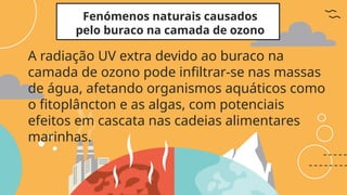 Fenómenos naturais causados
pelo buraco na camada de ozono
A radiação UV extra devido ao buraco na
camada de ozono pode infiltrar-se nas massas
de água, afetando organismos aquáticos como
o fitoplâncton e as algas, com potenciais
efeitos em cascata nas cadeias alimentares
marinhas.
 
