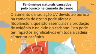 Fenómenos naturais causados
pelo buraco na camada de ozono
O aumento da radiação UV devido ao buraco
na camada de ozono pode afetar o
fitoplâncton, que são essenciais na produção
de oxigénio e no ciclo do carbono. Isto pode
ter impactos significativos em toda a cadeia
alimentar oceânica.
 