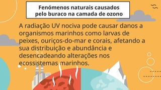 Fenómenos naturais causados
pelo buraco na camada de ozono
A radiação UV nociva pode causar danos a
organismos marinhos como larvas de
peixes, ouriços-do-mar e corais, afetando a
sua distribuição e abundância e
desencadeando alterações nos
ecossistemas marinhos.
 