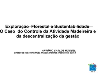 Exploração  Florestal e Sustentabilidade  O Caso  do Controle da Atividade Madeireira e da descentralização da gestão ANTÕNIO CARLOS HUMMEL DIRETOR DE USO SUSTENTÁVEL DA BIODIVERSIDADE E FLORESTAS - DBFLO 