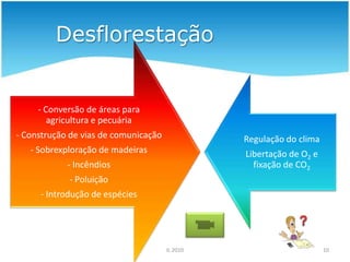 Principais ameaças7IL 2010