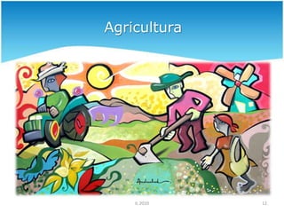 Desflorestação8IL 2010