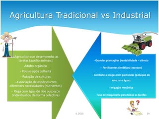  Evita o deslizamento de terrenos