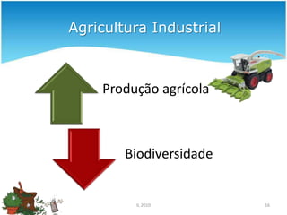  Abriga uma diversidade de seres vivos