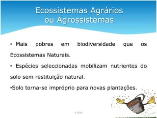   …Desflorestação10IL 2010?