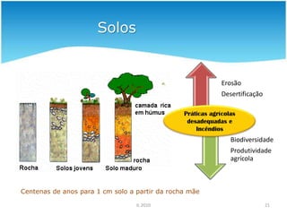  A maioria dos novos terrenos resulta da desflorestação (pradaria e savana inclusive)