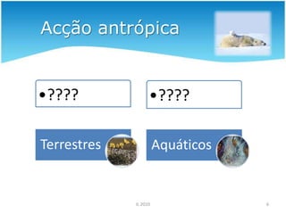Diversidade de Biomas3IL 2010Recifes de CoralFlorestasSavanaTundraDeserto