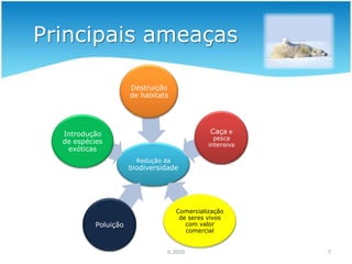 Biomas e biodiversidade4IL 2010Biodiversidade é entendida como a multiplicidade  de seres vivos de diferentes espécies que se agrupam em populações que interagem numa variedade de comunidades e de ecossistemas, diferenciando-se individualmente a nível genético.Convenção da diversidade biológica adoptada pelas nações Unidas