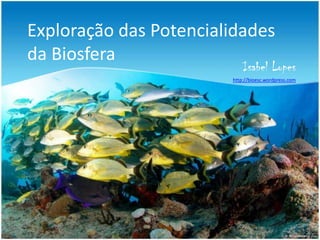 Exploração das Potencialidades da Biosfera,[object Object],Isabel Lopes,[object Object],http://bioesc.wordpress.com,[object Object]