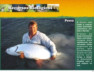 Recursos Biológicos

                      Pesca   A Pesca tem
                              vindo a crescer
                              como actividade
                              económica por
                              todo o Mundo.
                              Graças        ao
                              desenvolvimento
                              desta actividade,
                              chegam mais
                              rapidamente aos
                              mercados várias
                              espécies de
                              peixe,      que
                              normalmente,
                              demorariam
                              muito mais
                              tempo a atingir
                              as dimensões
                              exigidas para a
                              sua captura no
                              mar.

                                                  10
 