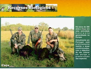 Recursos Biológicos



                         Há cerca de 300
                         anos a Caça era
                         uma actividade
                         b a s t a n t e
                         generalizada na
                         Europa.
                         Actualmente em
                         Portugal, está
                         praticamente
                         restrita a áreas
                         condicionadas,
                         com o objectivo
                         de não colocar
                         em perigo a
                         preservação
                         das espécies.



Caça
                                        13
 