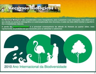 Recursos Biológicos

Os Recursos Biológicos são considerados como inesgotáveis, pois é possível a sua renovação, mas observa-se
que devido ao aumento demográfico e à sobreexploração dos recursos, é cada vez mais difícil manter o equilíbrio
dos ecossistemas naturais.
A perda da BIODIVERSIDADE é a principal consequência da atitude do Homem ao querer obter, mais
rapidamente, os produtos de que necessita para se alimentar e sobreviver.




                                                                                                              14
 