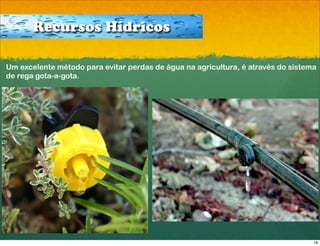 Recursos Hídricos

Um excelente método para evitar perdas de água na agricultura, é através do sistema
de rega gota-a-gota.




                                                                                  18
 
