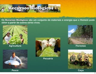 Recursos Biológicos

Os Recursos Biológicos são um conjunto de materiais e energia que o Homem pode
obter a partir de outros seres vivos.




      Agricultura                                             Florestas




                                  Pecuária




        Pesca                                                  Caça
                                                                             8
 