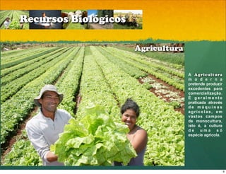 Recursos Biológicos

                      Agricultura


                                    A A gricultura
                                    m o d e r n a
                                    pretende produzir
                                    excedentes para
                                    comercialização.
                                    É geralmente
                                    praticada através
                                    de máquinas
                                    agrícolas, em
                                    vastos campos
                                    de monocultura,
                                    isto é, a cultura
                                    de    uma      só
                                    espécie agrícola.




                                                        9
 