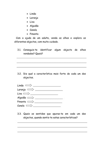 Explora os teus sentidos 