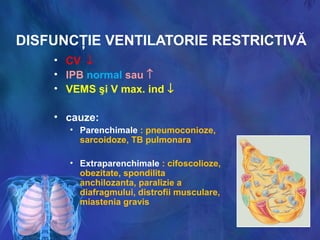 DISFUNCŢIE VENTILATORIE RESTRICTIVĂ
• CV ↓
• IPB normal sau ↑
• VEMS şi V max. ind ↓
• cauze:
• Parenchimale : pneumoconioze,
sarcoidoze, TB pulmonara
• Extraparenchimale : cifoscolioze,
obezitate, spondilita
anchilozanta, paralizie a
diafragmului, distrofii musculare,
miastenia gravis
 