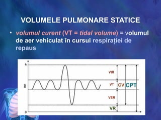 VOLUMELE PULMONARE STATICE
• volumul curent (VT = tidal volume) = volumul
de aer vehiculat în cursul respiraţiei de
repaus
 