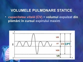 VOLUMELE PULMONARE STATICE
• capacitatea vitală (CV) = volumul expulzat din
plămâni în cursul expirului maxim
 