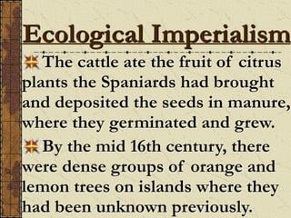 The cattle ate the fruit of citrus
plants the Spaniards had brought
and deposited the seeds in manure,
where they germinated and grew.
By the mid 16th century, there
were dense groups of orange and
lemon trees on islands where they
had been unknown previously.
Ecological Imperialism
 