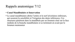 Rappels anatomique 7/12
• Canal Mandibulaire et Innervation
• Le canal mandibulaire abrite l’artère et le nerf alvéolaires inférieurs,
qui assurent la sensibilité et l’irrigation des dents inférieures. Ces
structures pénètrent dans la mandibule par un foramen situé sur la face
médiale de la branche mandibulaire et se terminent en avant par le
foramen mentonnier​
 