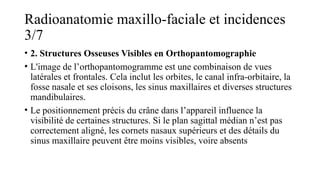 Radioanatomie maxillo-faciale et incidences
3/7
• 2. Structures Osseuses Visibles en Orthopantomographie
• L'image de l’orthopantomogramme est une combinaison de vues
latérales et frontales. Cela inclut les orbites, le canal infra-orbitaire, la
fosse nasale et ses cloisons, les sinus maxillaires et diverses structures
mandibulaires.
• Le positionnement précis du crâne dans l’appareil influence la
visibilité de certaines structures. Si le plan sagittal médian n’est pas
correctement aligné, les cornets nasaux supérieurs et des détails du
sinus maxillaire peuvent être moins visibles, voire absents
 