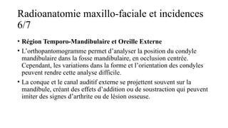 Radioanatomie maxillo-faciale et incidences
6/7
• Région Temporo-Mandibulaire et Oreille Externe
• L’orthopantomogramme permet d’analyser la position du condyle
mandibulaire dans la fosse mandibulaire, en occlusion centrée.
Cependant, les variations dans la forme et l’orientation des condyles
peuvent rendre cette analyse difficile.
• La conque et le canal auditif externe se projettent souvent sur la
mandibule, créant des effets d’addition ou de soustraction qui peuvent
imiter des signes d’arthrite ou de lésion osseuse.
 