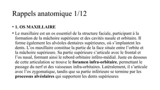 Rappels anatomique 1/12
• 1. OS MAXILLAIRE
• Le maxillaire est un os essentiel de la structure faciale, participant à la
formation de la mâchoire supérieure et des cavités nasale et orbitaire. Il
forme également les alvéoles dentaires supérieures, où s’implantent les
dents. L’os maxillaire constitue la partie de la face située entre l’orbite et
la mâchoire supérieure. Sa partie supérieure s’articule avec le frontal et
l’os nasal, formant ainsi le rebord orbitaire inféro-médial. Juste en dessous
de cette articulation se trouve le foramen infra-orbitaire, permettant le
passage du nerf et des vaisseaux infra-orbitaires. Latéralement, il s’articule
avec l’os zygomatique, tandis que sa partie inférieure se termine par les
processus alvéolaires qui supportent les dents supérieures​
 