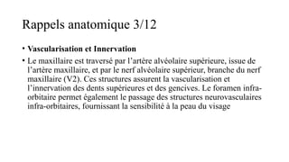 Rappels anatomique 3/12
• Vascularisation et Innervation
• Le maxillaire est traversé par l’artère alvéolaire supérieure, issue de
l’artère maxillaire, et par le nerf alvéolaire supérieur, branche du nerf
maxillaire (V2). Ces structures assurent la vascularisation et
l’innervation des dents supérieures et des gencives. Le foramen infra-
orbitaire permet également le passage des structures neurovasculaires
infra-orbitaires, fournissant la sensibilité à la peau du visage
 