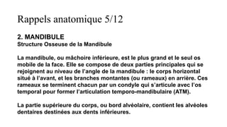 Rappels anatomique 5/12
2. MANDIBULE
Structure Osseuse de la Mandibule
La mandibule, ou mâchoire inférieure, est le plus grand et le seul os
mobile de la face. Elle se compose de deux parties principales qui se
rejoignent au niveau de l’angle de la mandibule : le corps horizontal
situé à l’avant, et les branches montantes (ou rameaux) en arrière. Ces
rameaux se terminent chacun par un condyle qui s’articule avec l’os
temporal pour former l’articulation temporo-mandibulaire (ATM).
La partie supérieure du corps, ou bord alvéolaire, contient les alvéoles
dentaires destinées aux dents inférieures.
 