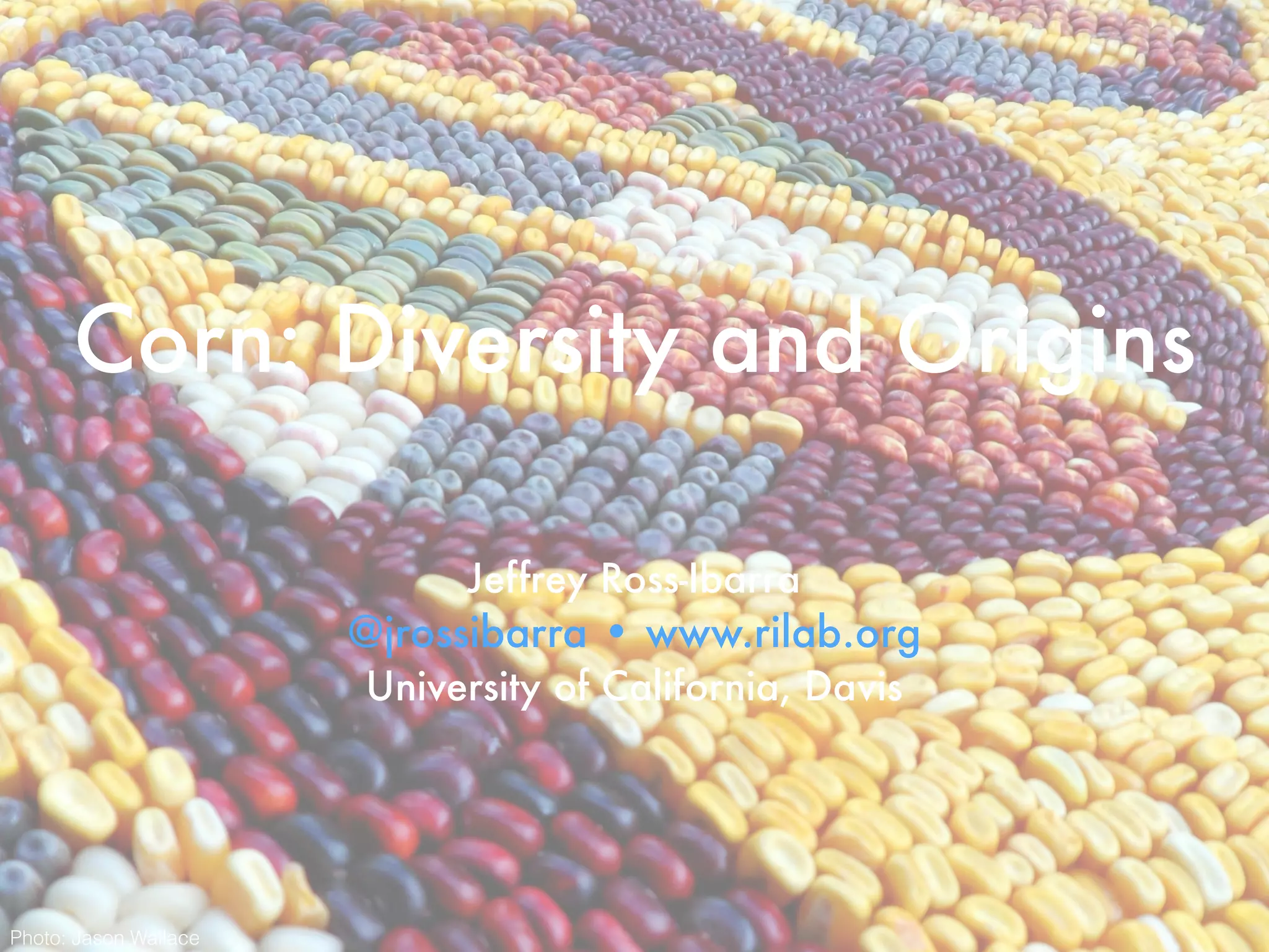 Corn: Diversity and Origins
Jeffrey Ross-Ibarra
@jrossibarra • www.rilab.org
University of California, Davis
Photo: Jason Wallace
 