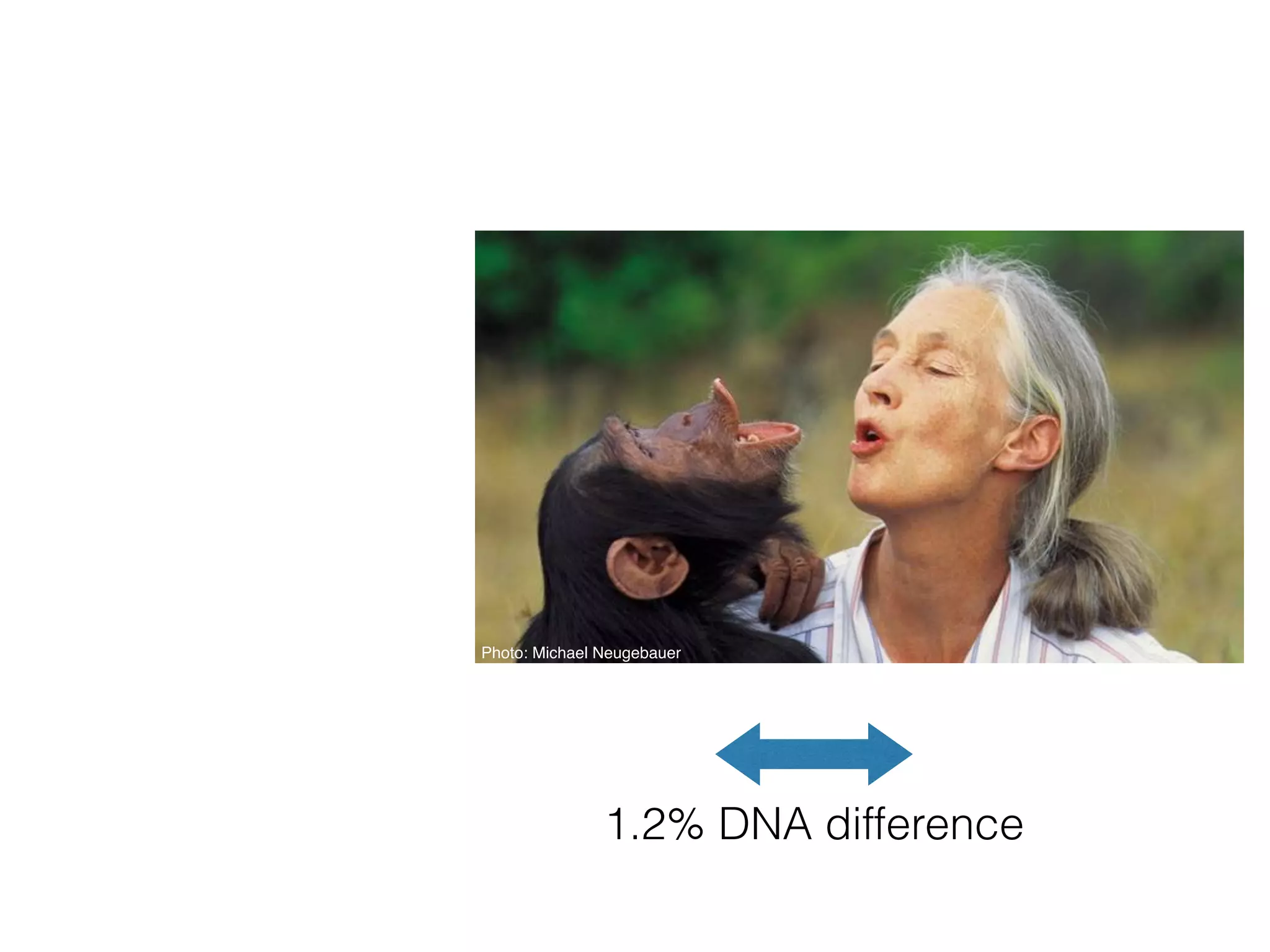 Photo: Michael Neugebauer
1.2% DNA difference
Photo: USDA
 
